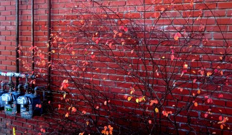 Midtown Reno, Nevada - Monday, 3 December 2012